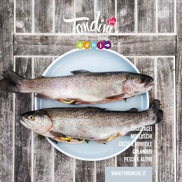 Catalogo Ittico Gelo