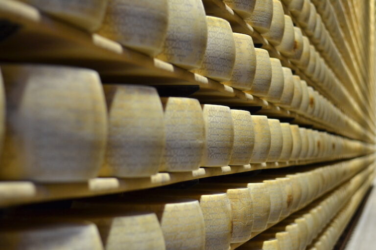 Visita in Latteria San Pietro