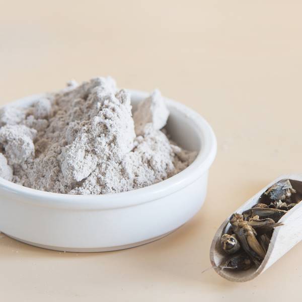 Il cibo dagli insetti