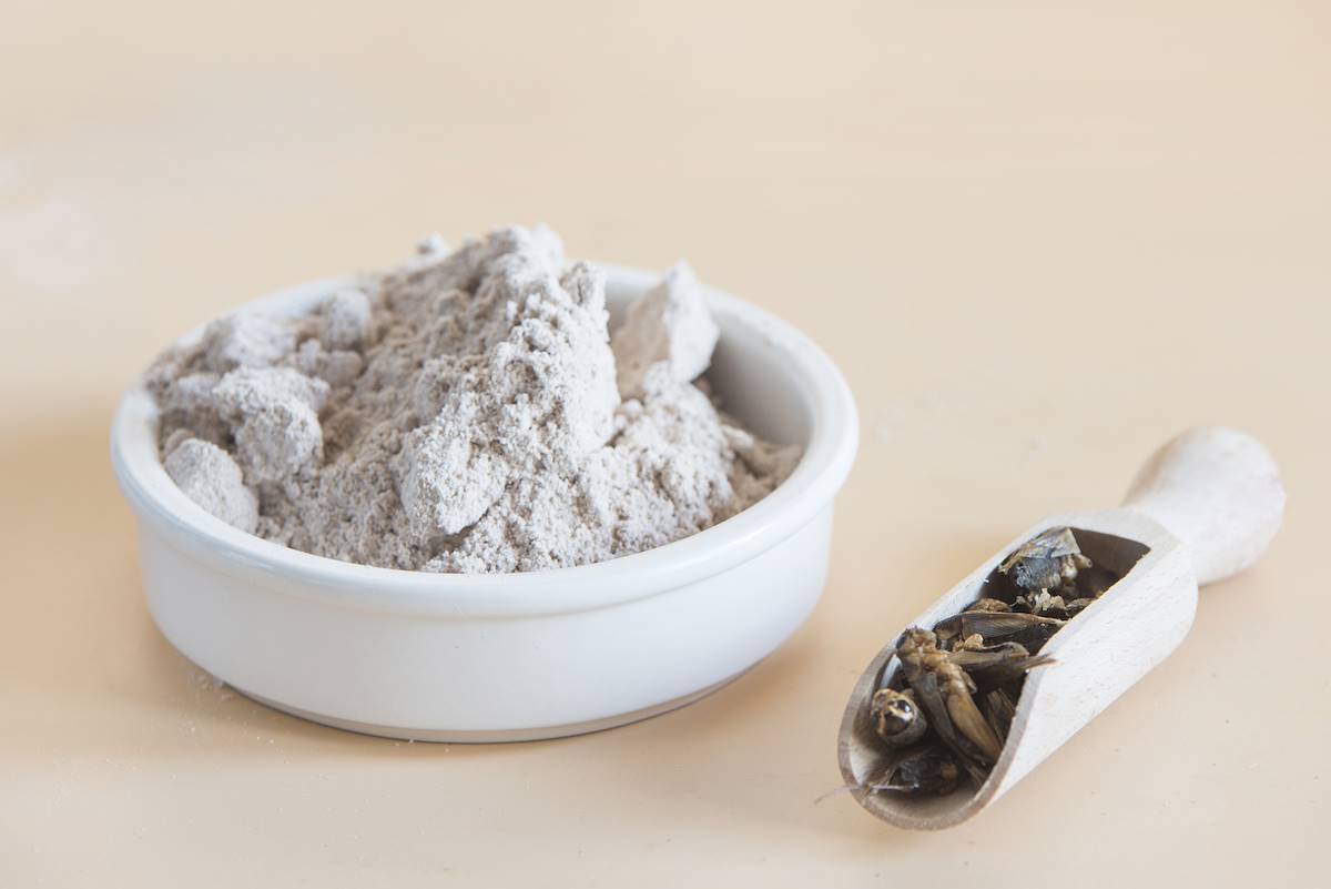 Il cibo dagli insetti