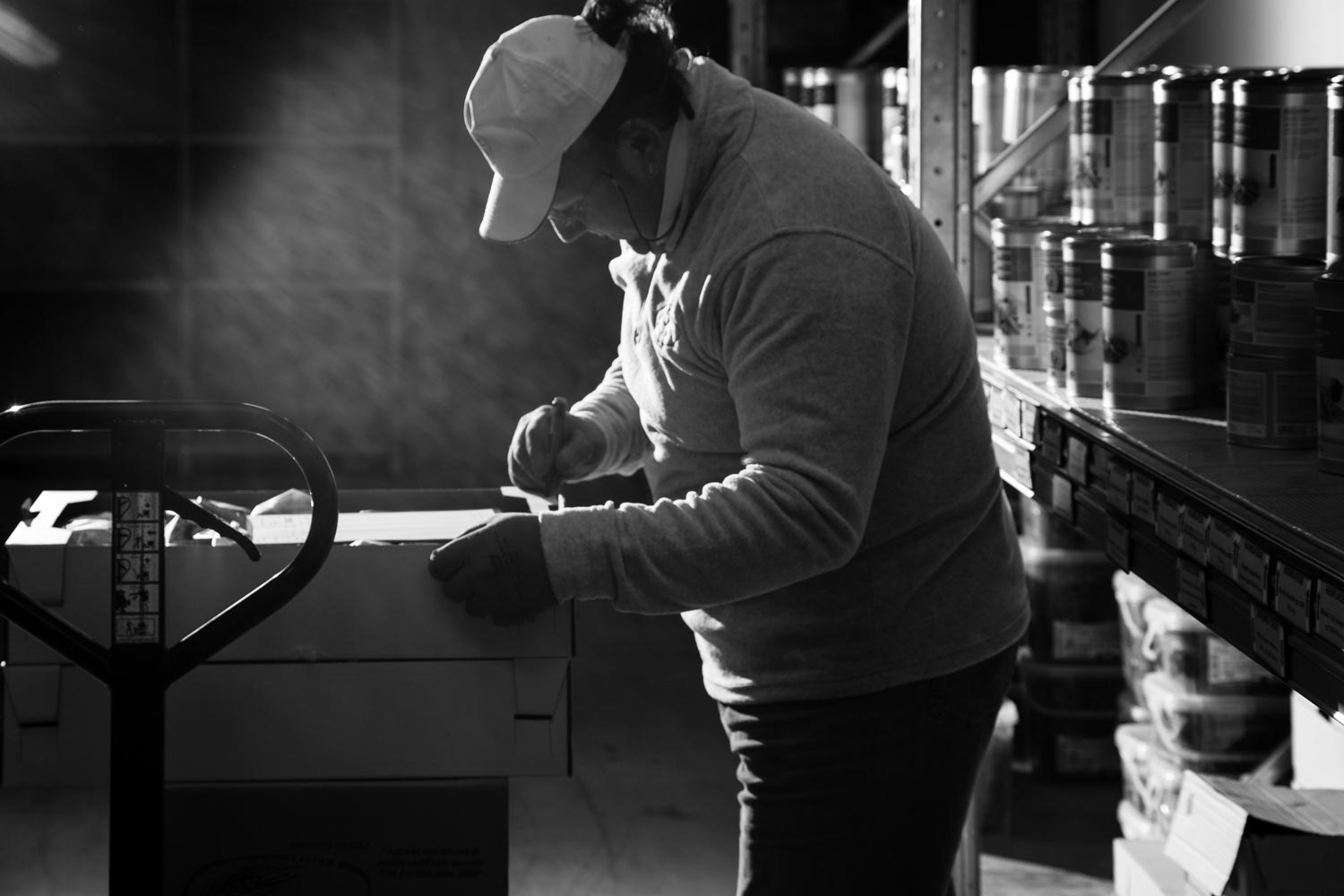 Le forniture alimentari attraverso un