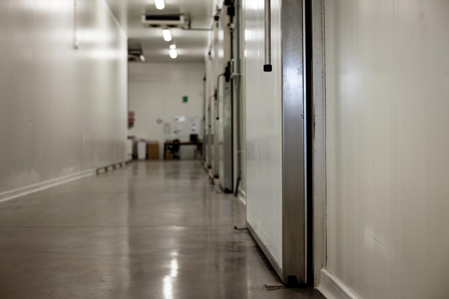 Al centro di tutto la distribuzione