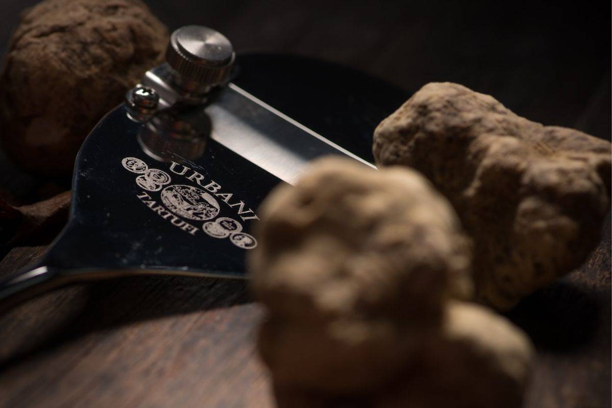 Urbani Tartufi, la selezione per la ristorazione