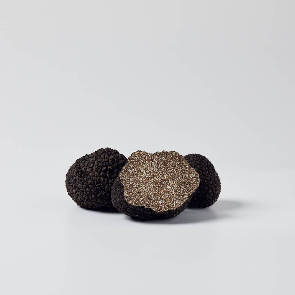 Urbani Tartufi, la selezione per la ristorazione