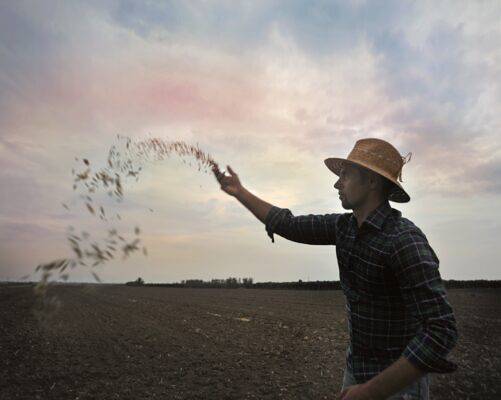 Mangiare, un atto sostenibile