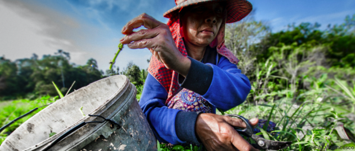 Di cibo si parla seriamente, forse è il momento giusto