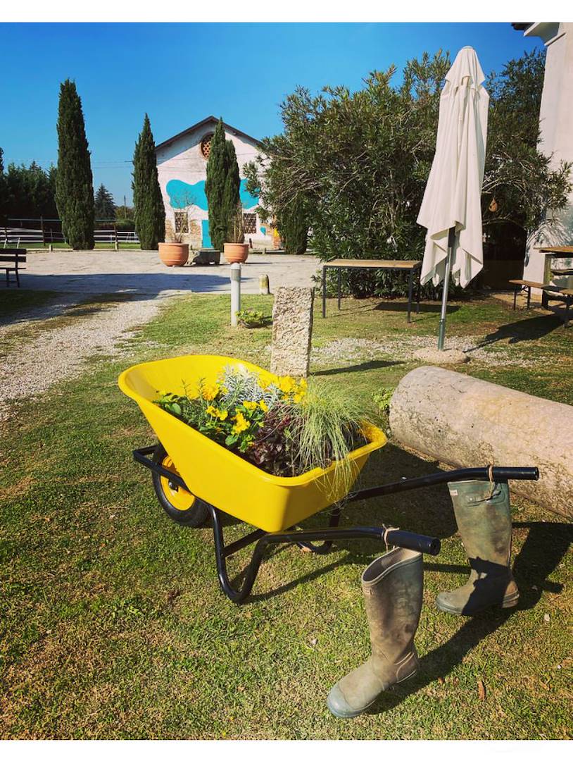 Quanta energia all’Agriturismo Corte Barco!