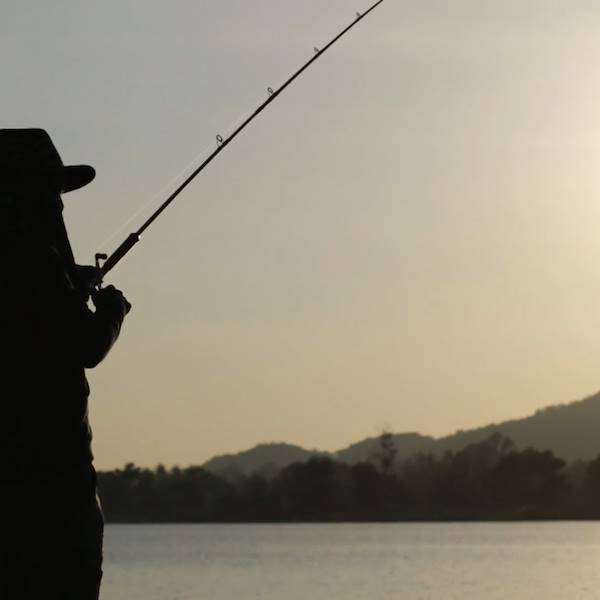 Tartare di pesce Ge.ne: la garanzia di un prodotto fresco, pratico e versatile