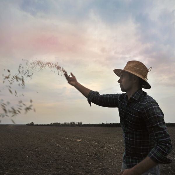 Novità nel nostro assortimento: arrivano i prodotti di spirito contadino