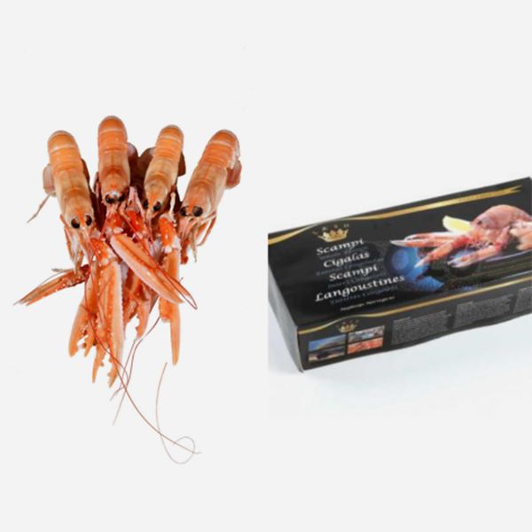 Scampi læsø: dal mare del nord un’eccellenza e una garanzia