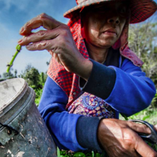 Di cibo si parla seriamente, forse è il momento giusto